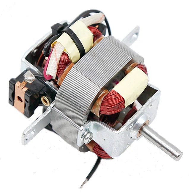 Ventiliatoriaus 220 V kintamos srovės variklis