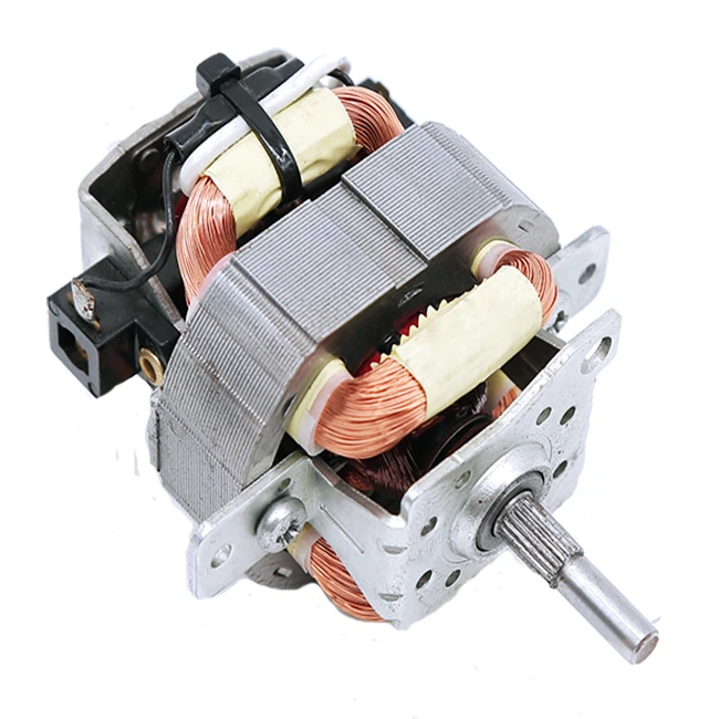 Kintamasis kintamosios srovės variklis panardinimo maišytuvui