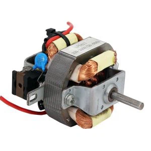 Populiarus elektrinis plaukų džiovintuvo kintamos srovės variklis